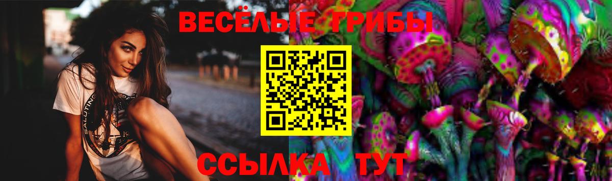 Галлюциногенные грибы мухоморы Павловский Посад